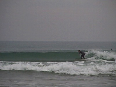 IMG_6286.jpg