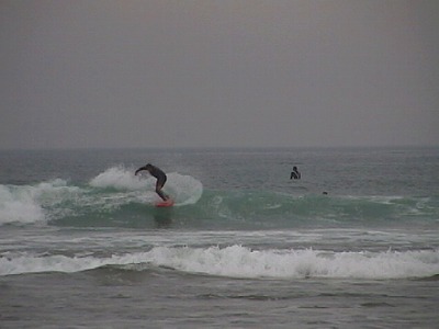 IMG_6295.jpg