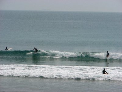 IMG_7177.jpg