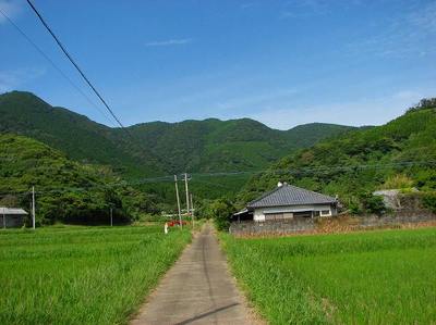 IMG_7195.jpg