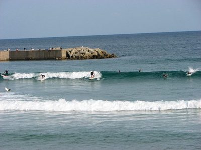 IMG_7212.jpg