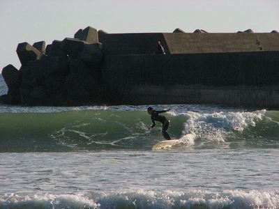 IMG_7215.jpg