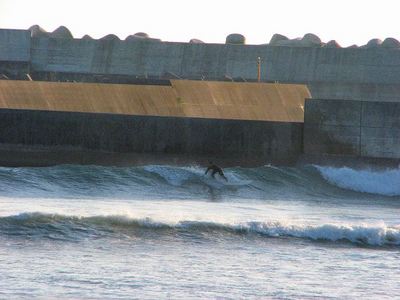 IMG_7249.jpg